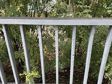 Забор до проведения работ