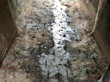 Общий вид после инъектирования